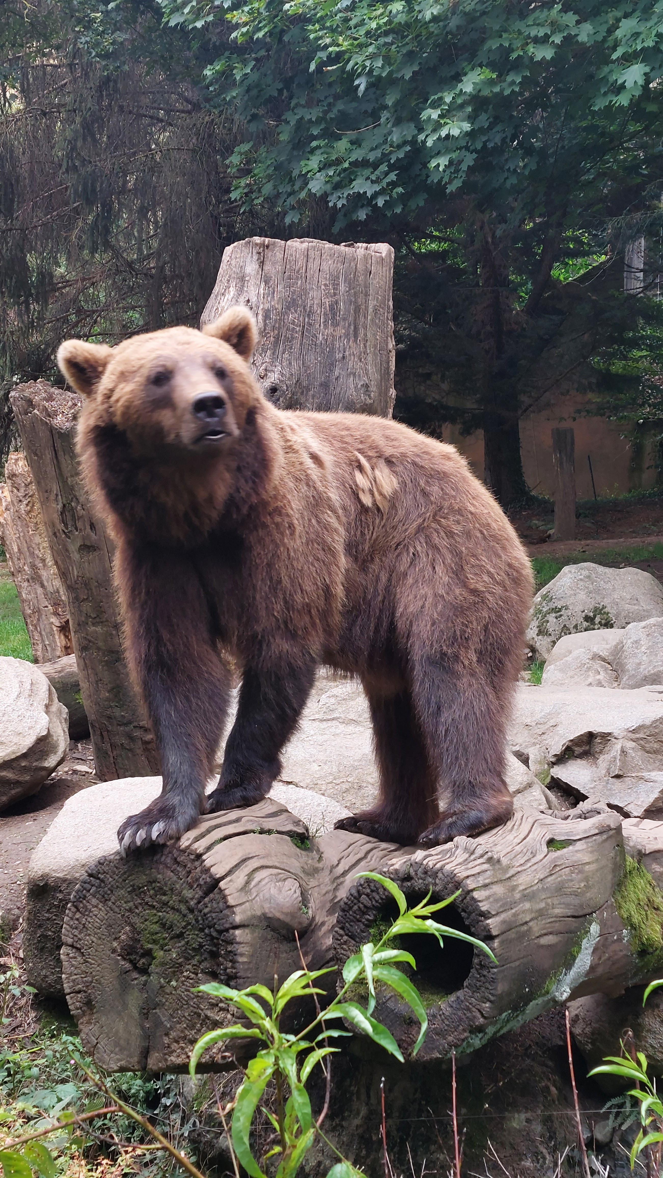 Photo n° 5 de l'avis de Frederick.e fait le 06/07/2022 à 18:45