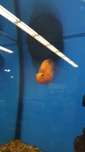 Pet Supply Store «Petco Animal Supplies», reviews and photos, 1574 N Dupont Hwy #300, Dover, DE 19901, USA