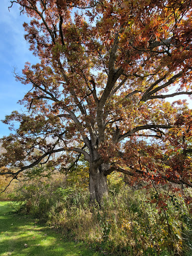 Park «Fox River Bluff west», reviews and photos, 5N753 State Rte 31, St Charles, IL 60175, USA