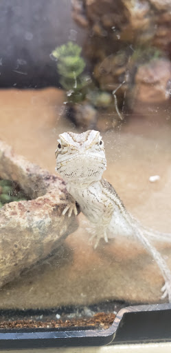 Pet Supply Store «PetSmart», reviews and photos, 1297 Promenade Pl, Eagan, MN 55121, USA