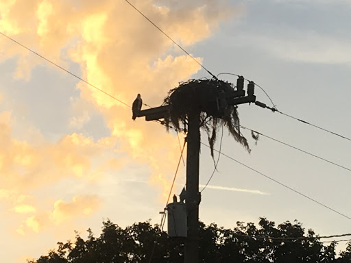 Boat Tour Agency «River Lilly Cruises», reviews and photos, 500 E Prima Vista Blvd, Port St Lucie, FL 34983, USA