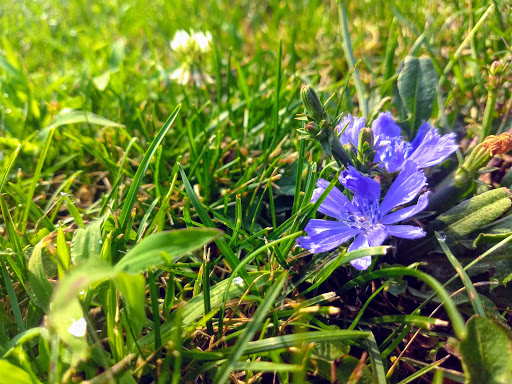 Park «Rapid Run Park», reviews and photos, 4450 Rapid Run Rd, Cincinnati, OH 45205, USA