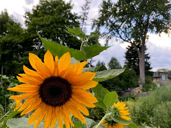 Parkview Neighbourhood Garden