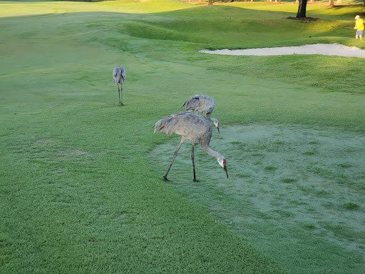 Golf Club «The River Club», reviews and photos, 6600 River Club Blvd, Bradenton, FL 34202, USA