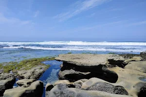 La Jolla Tide Pools image