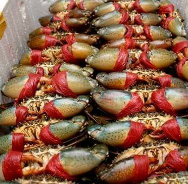 Top 20 cửa hàng bánh pháp Huyện Năm Căn Cà Mau 2022