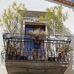 Photo n°2 de l'avis de Ennio.o fait le 27/03/2023 à 16:03 sur le  VialeQuaranta9” à Pietragalla