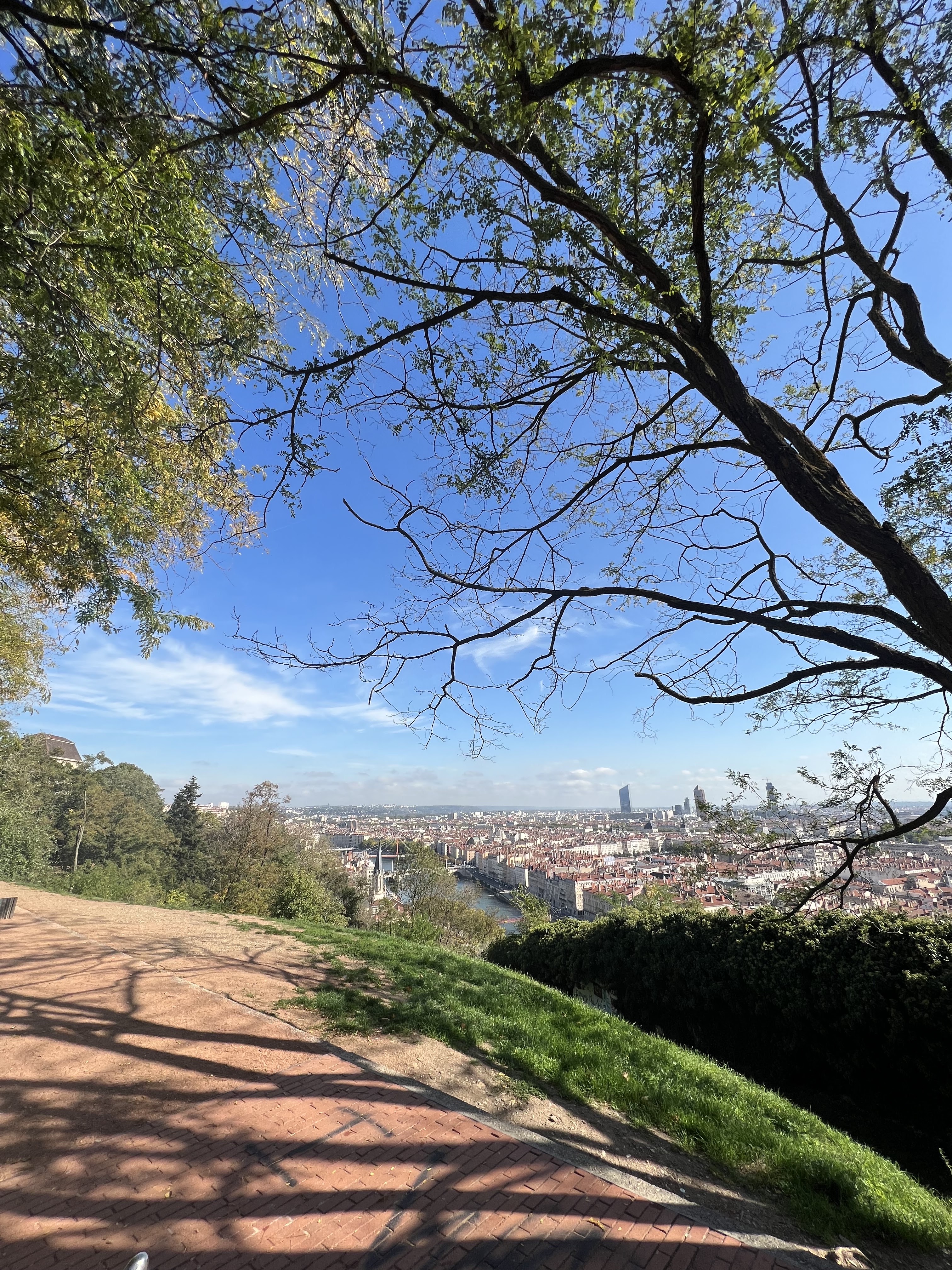 Photo n° 1 de l'avis de Stephane.o fait le 07/10/2022 à 19:41