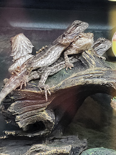 Pet Supply Store «Petco Animal Supplies», reviews and photos, 29560 W Seven Mile Rd, Livonia, MI 48152, USA