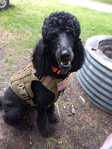 Pet Supply Store «Pet Supplies Plus», reviews and photos, 5708 State St, Saginaw, MI 48603, USA