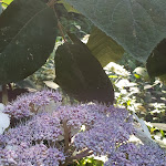 Photo n° 5 de l'avis de Stefan.. fait le 22/07/2021 à 20:17 pour Le Kestellic à Plouguiel