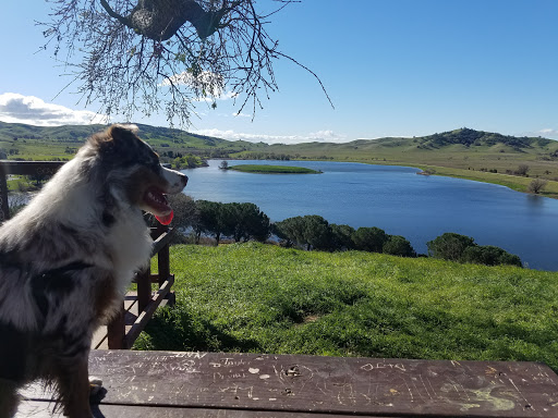 Park «Pena Adobe Regional Park», reviews and photos, 4699 Peña Adobe Rd, Vacaville, CA 95687, USA