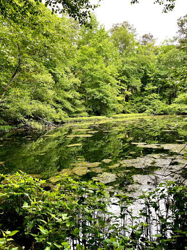 Park «Brookhaven Nature Park», reviews and photos, 5125 Berkeley St, Raleigh, NC 27612, USA