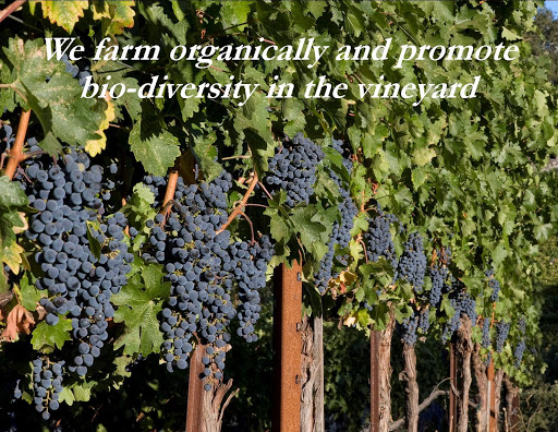 Winery «Aver Family Vineyards», reviews and photos, 2900 Soma Way, Gilroy, CA 95020, USA