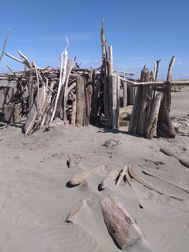 Public Golf Course «Ocean Shores Golf Course», reviews and photos, 500 Canal Dr NE, Ocean Shores, WA 98569, USA