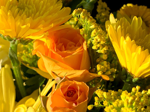 Coffee Shop «Paper City Coffee», reviews and photos