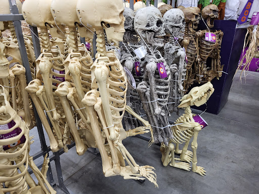 Home Improvement Store «The Home Depot», reviews and photos, 391 College Heights, Watertown, NY 13601, USA