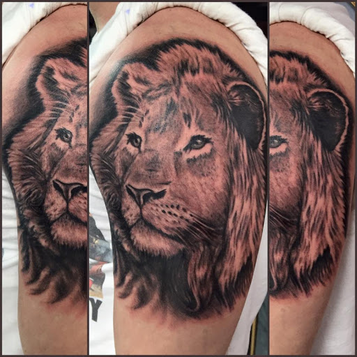 Body Piercing Shop «Wasted Youth Tattoo & PMA Piercing», reviews and photos, 1335 Lakeside Dr #1, Romeoville, IL 60446, USA