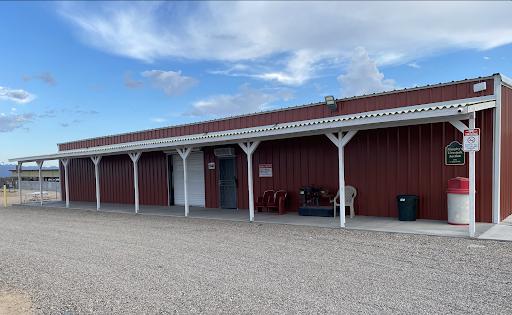 Murphy's Livestock Auction | Arizona Horse and Mule