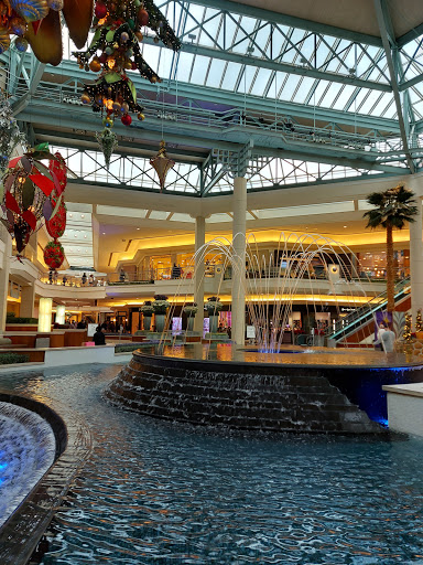 Clothing Store «Express», reviews and photos, 3101 PGA Boulevard, Palm Beach Gardens, FL 33410, USA