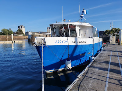 Cherbourg Natation Plongée à Cherbourg-en-Cotentin