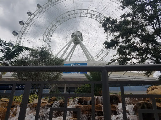 Museum «SKELETONS: Museum Of Osteology», reviews and photos, 8441 International Dr Suite 250, Orlando, FL 32819, USA