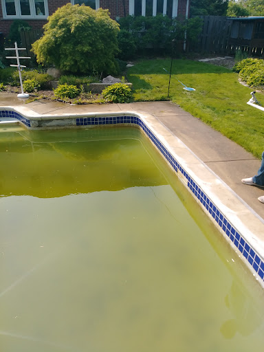 Pool cleaning service Ann Arbor