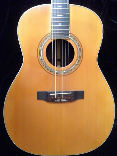 Aventini Luthin Guitare