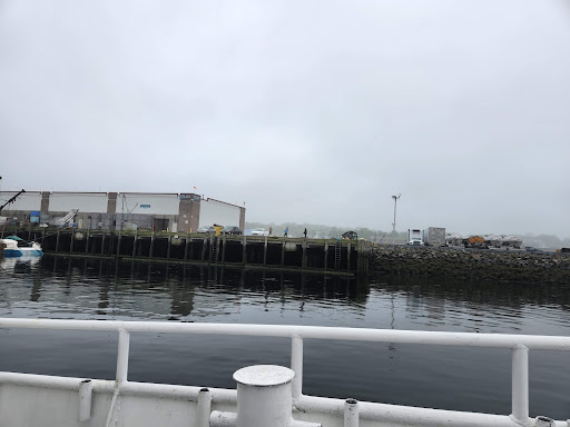 Whale Watching Tour Agency «Cape Ann Whale Watch», reviews and photos, 415 Main St, Gloucester, MA 01930, USA