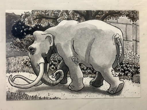 Tourist Attraction «Leonhardt Lagoon Nature Walk», reviews and photos, 1121 1st Ave, Dallas, TX 75210, USA