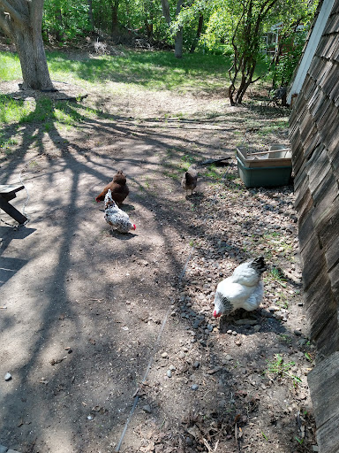 Home Improvement Store «Tractor Supply Co.», reviews and photos, 9273 Cafferty Ct, Inver Grove Heights, MN 55076, USA