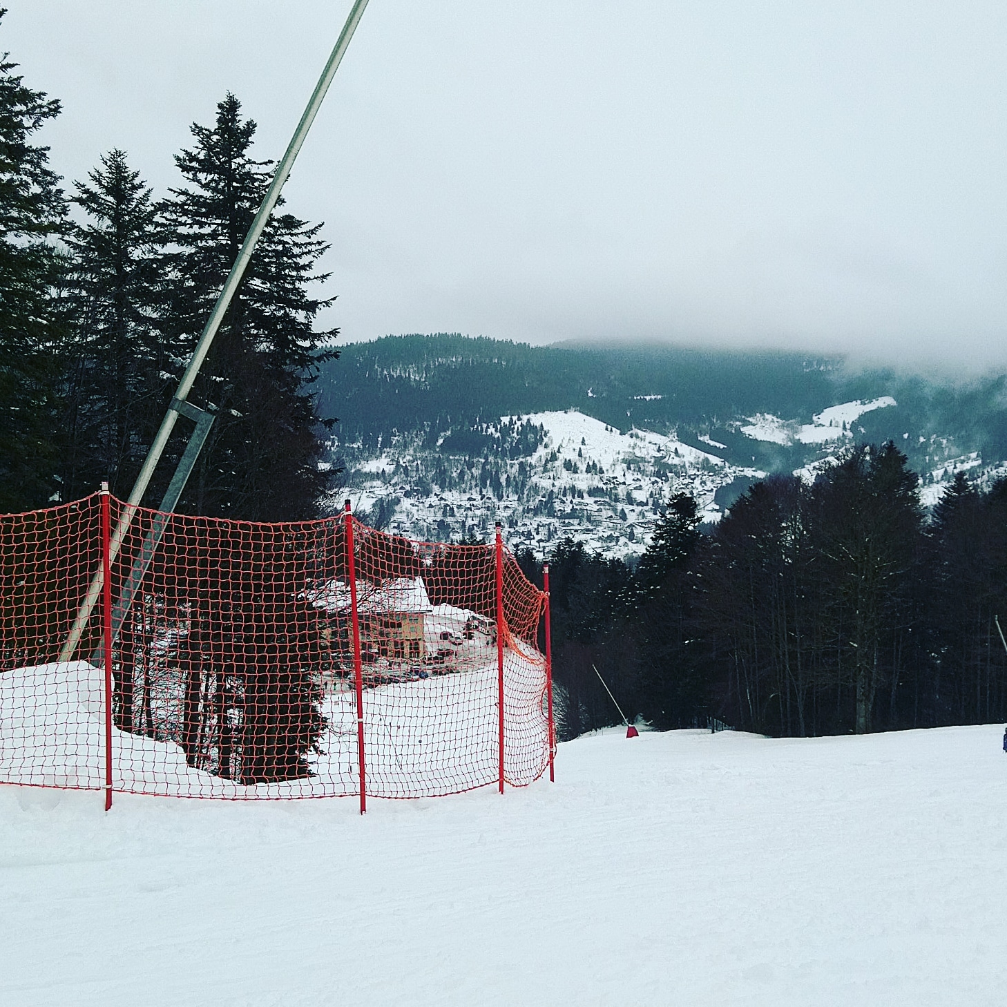Photo n° 1 de l'avis de Tom. fait le 01/02/2019 à 15:41