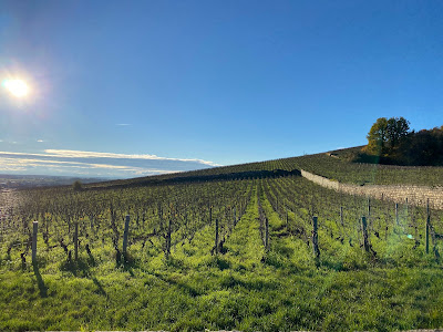 Richebourg à Vosne-Romanée