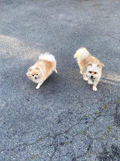 Supermarket «ALDI», reviews and photos, 630 Fellsway, Medford, MA 02155, USA