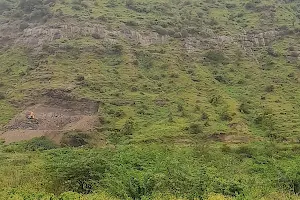 Tiger hills image