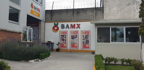BAMX del Estado de México Poniente