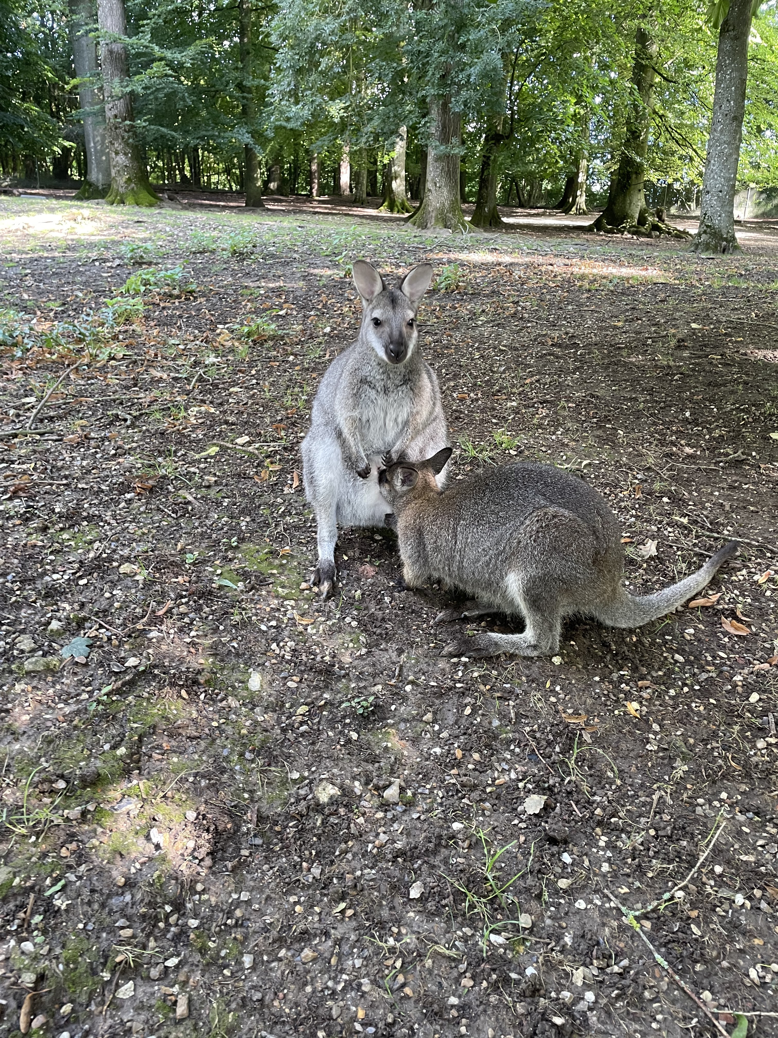 Photo n° 2 de l'avis de Chauveau.n fait le 31/08/2023 à 15:16