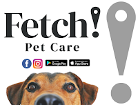 Fetch! Pet Care of Clearlake - Photo 5 - Car repair in , Galveston