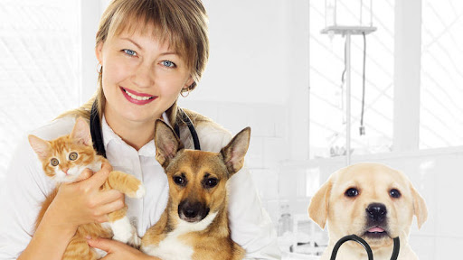 3300 Hartzdale Dr Ste. 108, Camp Hill, PA 17011, USA