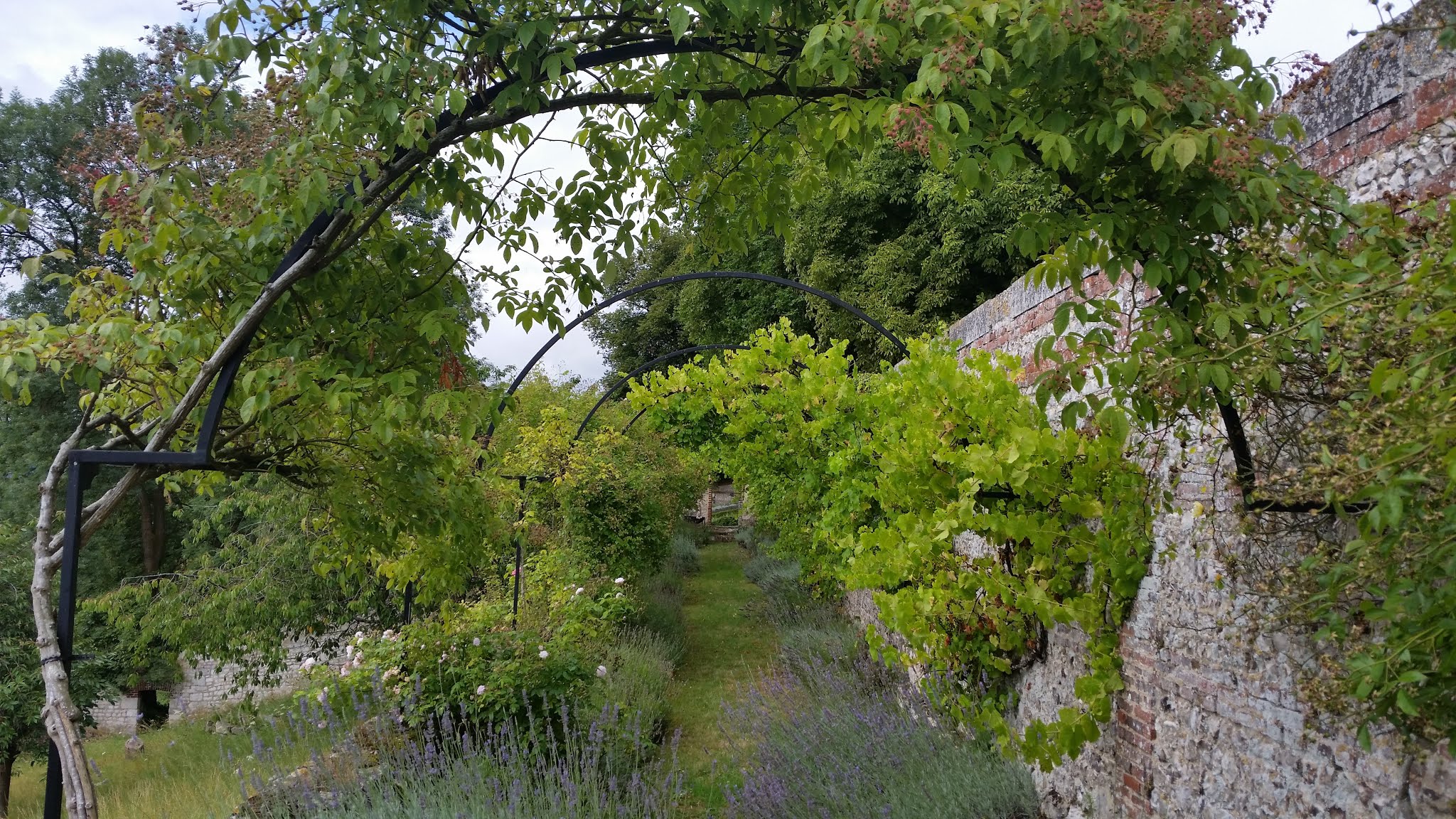 Photo n° 2 de l'avis de jean-marie.A fait le 30/05/2019 à 15:42