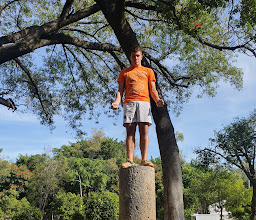 The Columns photo