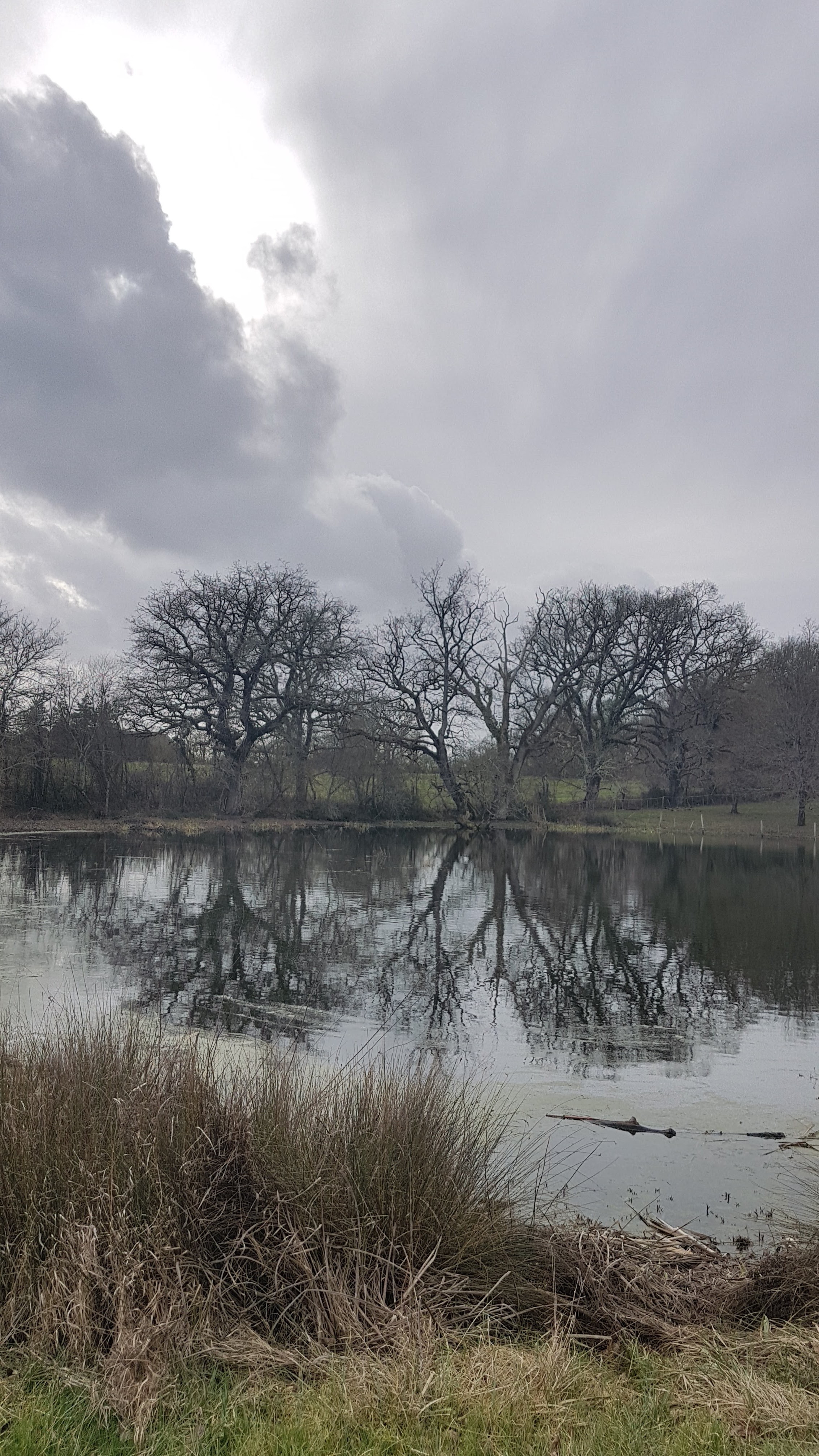 Photo n° 13 de l'avis de Thierry.a fait le 09/02/2019 à 16:21