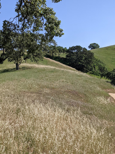 Nature Preserve «Coyote Valley Open Space Preserve», reviews and photos, 550 Palm Ave, Morgan Hill, CA 95037, USA