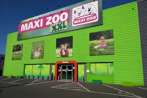 Maxi Zoo XXL image