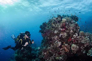 Gus Dive Center image