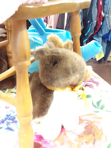 Thrift Store «Gridley Spare & Share Shoppe», reviews and photos, 111 N Ford St, Gridley, IL 61744, USA