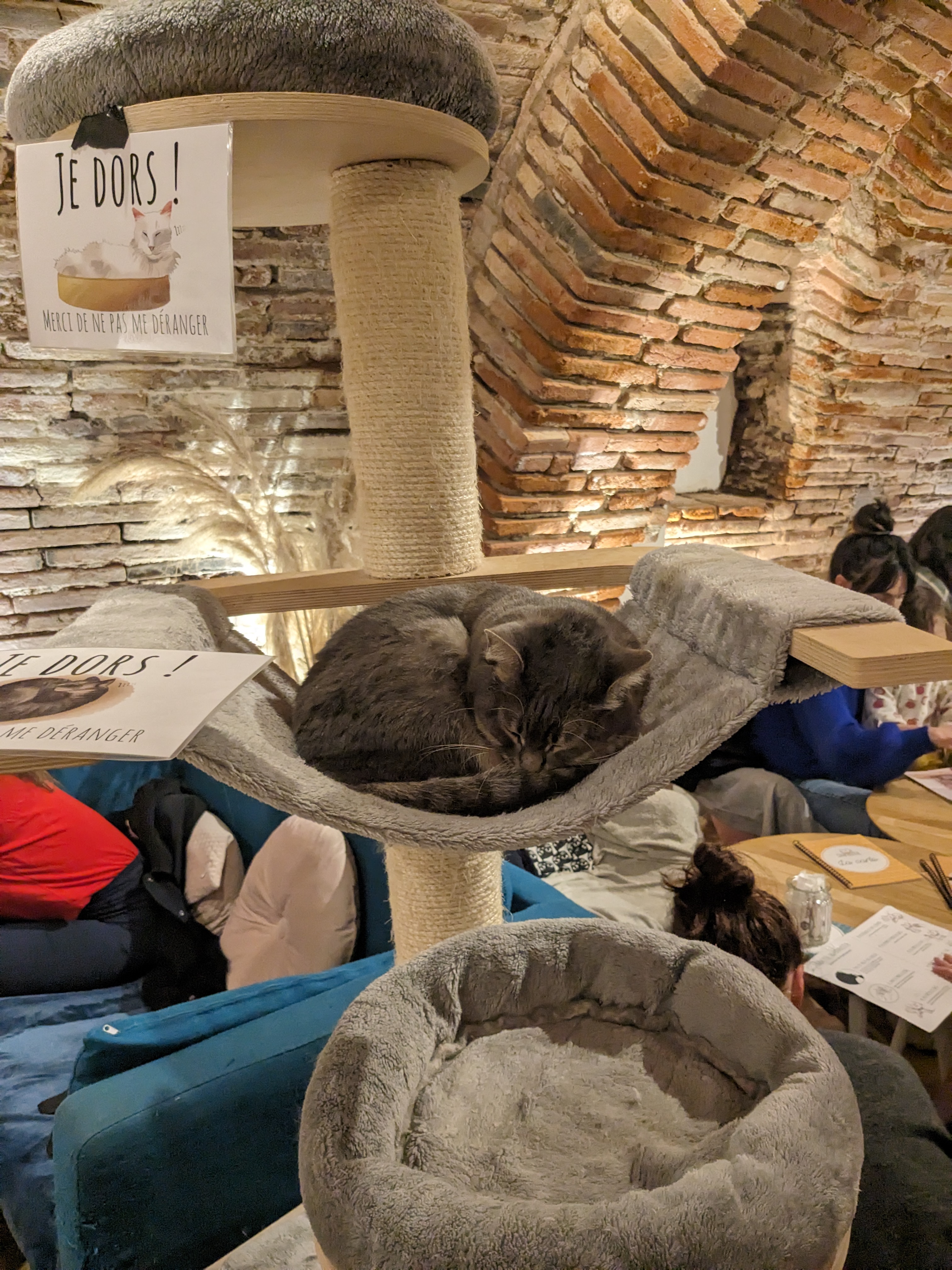 Photo n° 1 de l'avis de lulu. fait le 20/11/2023 à 17:12