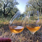 Photo n°46 de l'avis de Maurizio.u fait le 12/07/2022 à 14:37 sur le  Ristorante Villa Romana à Ancona