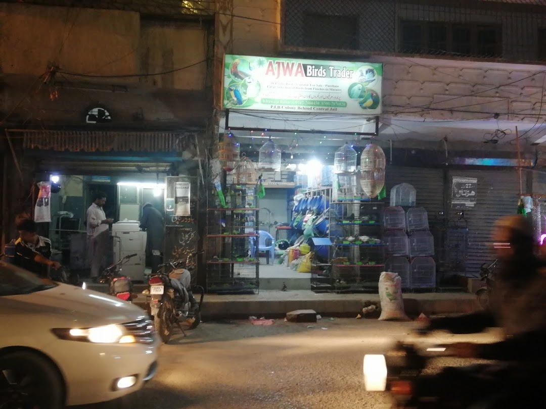 Ajwa birds trader