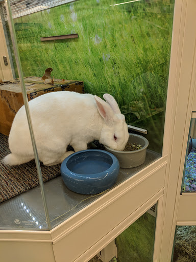 Pet Supply Store «PetSmart», reviews and photos, 5336 Westpointe Plaza Drive, Columbus, OH 43228, USA